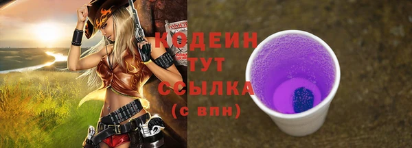 прущие грибы Бородино