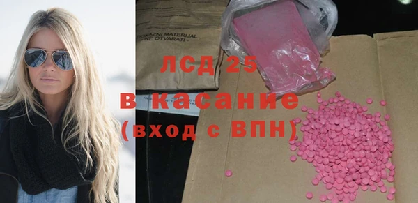 прущие грибы Бородино
