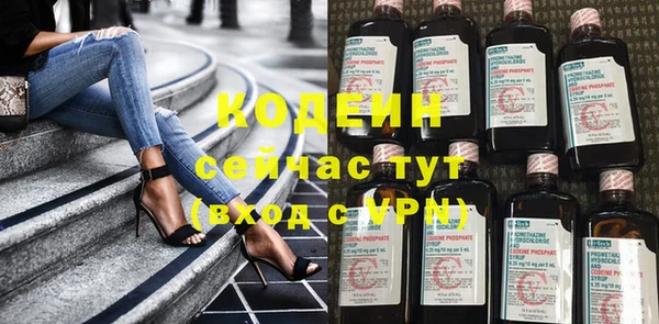 прущие грибы Бородино