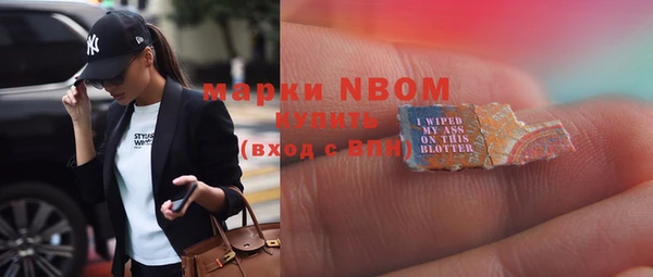 прущие грибы Бородино