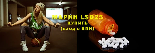 прущие грибы Бородино