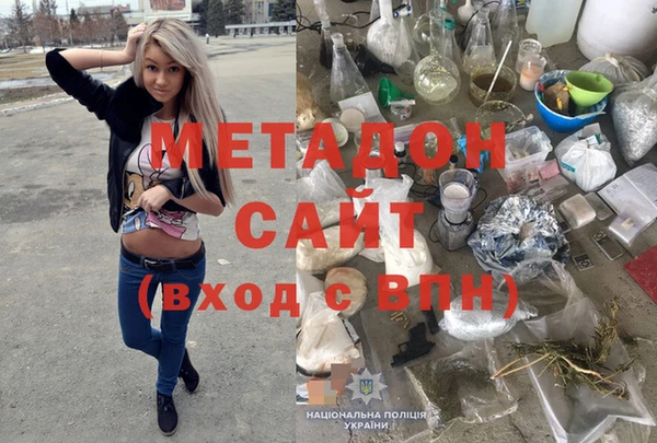 прущие грибы Бородино