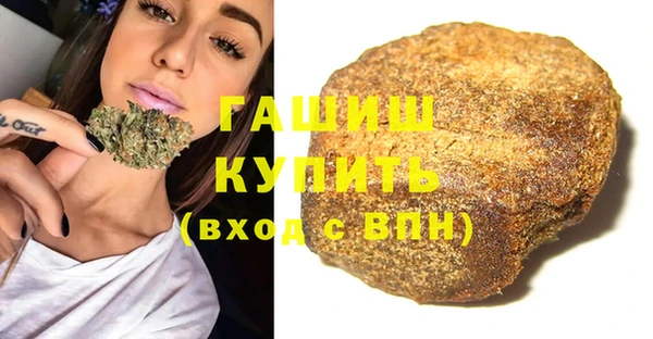 прущие грибы Бородино