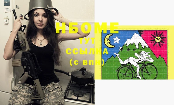 прущие грибы Бородино