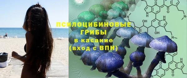 дживик Бугульма