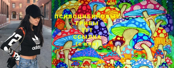 дживик Бугульма