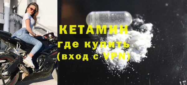 прущие грибы Бородино