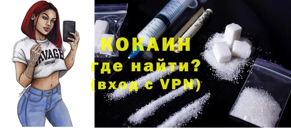 прущие грибы Бородино