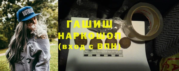 прущие грибы Бородино